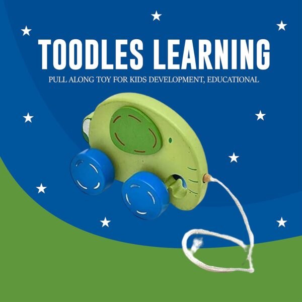 Toodles Learnings Pull Along Toy with Attached String- Encourage Walking, Develop Hand-Eye Coordination, Build Gross Motor Skills - Image 3