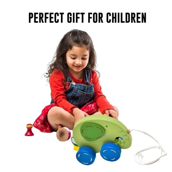Toodles Learnings Pull Along Toy with Attached String- Encourage Walking, Develop Hand-Eye Coordination, Build Gross Motor Skills - Image 5